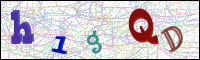 Image Verification