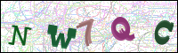 Image Verification
