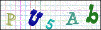 Image Verification