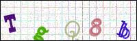Image Verification