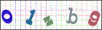 Image Verification
