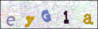 Image Verification