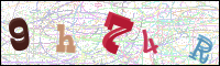 Image Verification