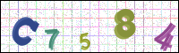 Image Verification