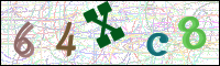 Image Verification