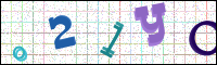 Image Verification