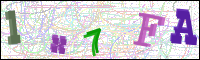 Image Verification