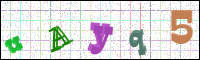 Image Verification