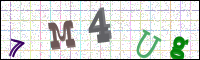 Image Verification
