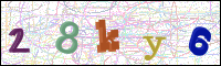 Image Verification