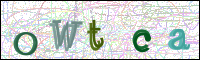 Image Verification