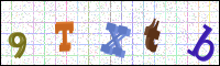 Image Verification