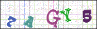Image Verification
