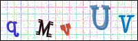 Image Verification