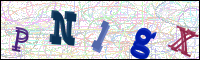 Image Verification