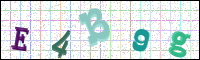 Image Verification