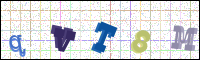 Image Verification