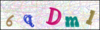 Image Verification