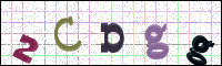 Image Verification