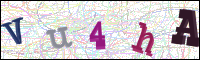 Image Verification