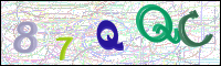 Image Verification