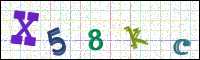 Image Verification
