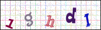 Image Verification