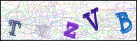 Image Verification