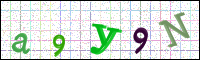 Image Verification
