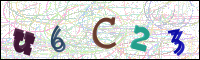 Image Verification