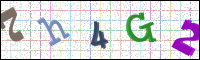 Image Verification