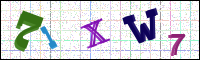 Image Verification