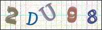Image Verification