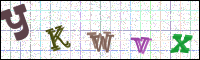 Image Verification