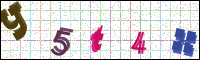 Image Verification