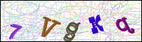 Image Verification