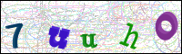 Image Verification