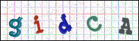 Image Verification