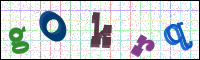 Image Verification