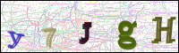 Image Verification