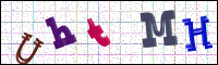 Image Verification
