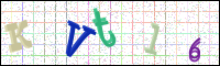 Image Verification