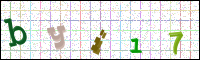 Image Verification