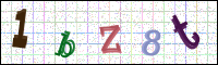 Image Verification
