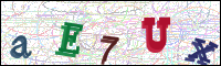 Image Verification
