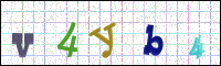 Image Verification