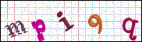 Image Verification