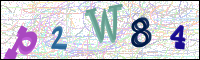 Image Verification