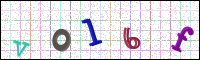 Image Verification