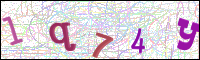 Image Verification